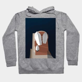 Sydney Opera House From Above Hoodie